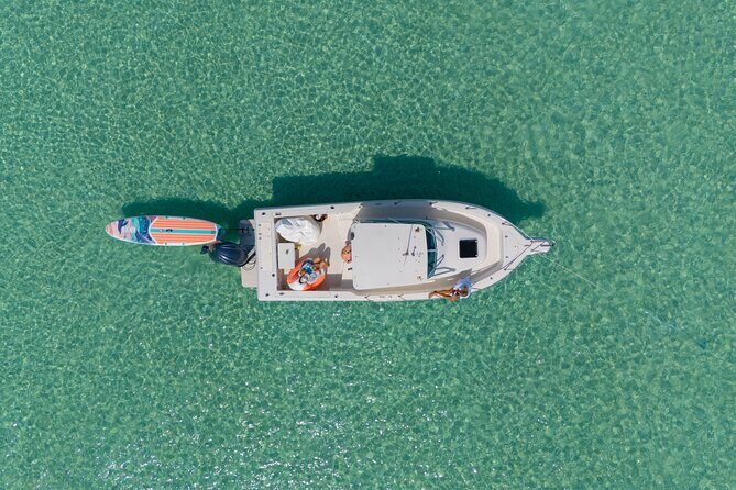 Destin Dolphin and Snorkeling Adventure Speedboat Tour - What Travelers Can Expect from the Experience