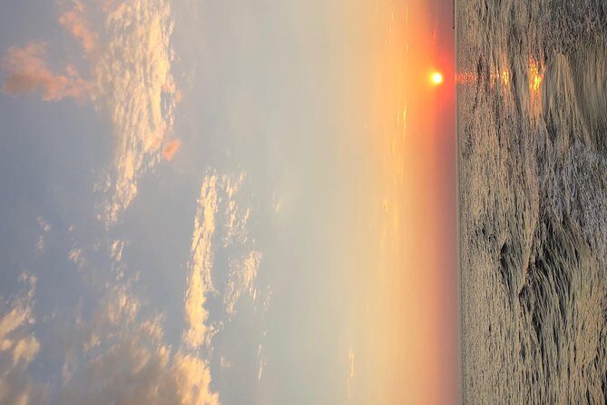 Destin Dolphin Cruise - The Experience: Pros and Cons