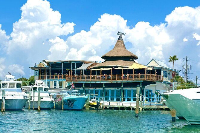 Destin Harbor Boat Ride and Dolphin Watching on the Hopper - What We Loved and What To Keep in Mind