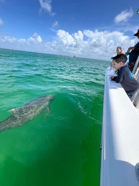 Destin: Private Morning Dolphin Cruise - Final Thoughts