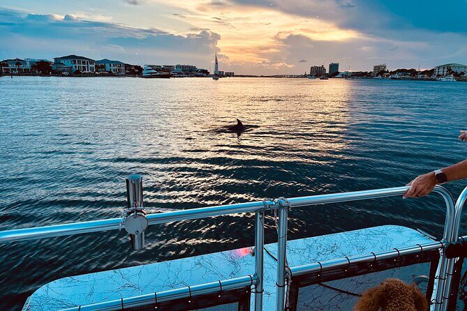 Destin Private Sunset Boat Tour - What Travelers Have to Say
