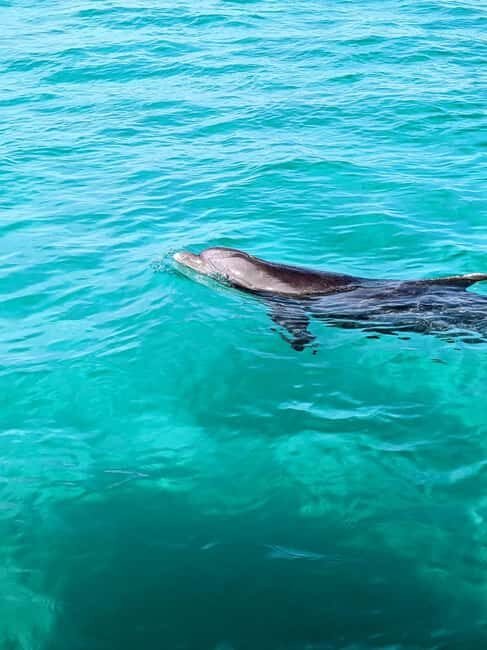 Destin: Public 3 Hour Crab Island and Harbor Tour