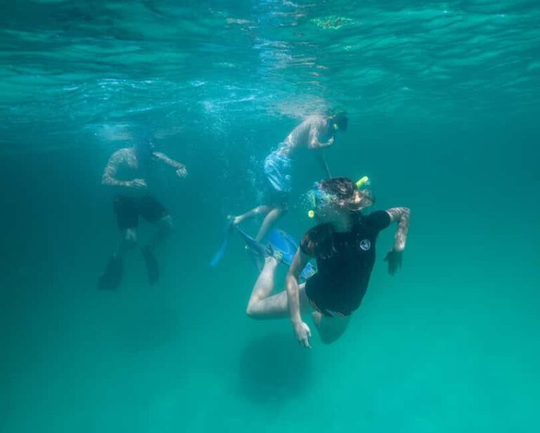 Destin: Reef Snorkeling Adventure - The Open Water Extension