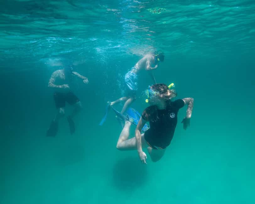 Destin: Reef Snorkeling Adventure