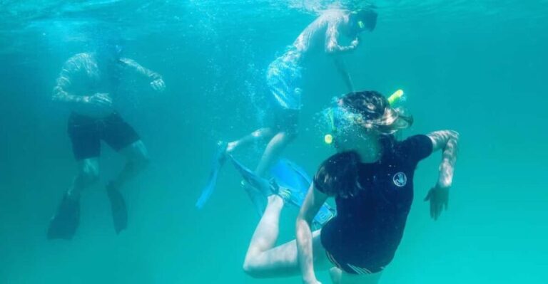 Destin: Snorkeling, Dolphins, and Crab Island - Who Will Love This Experience?