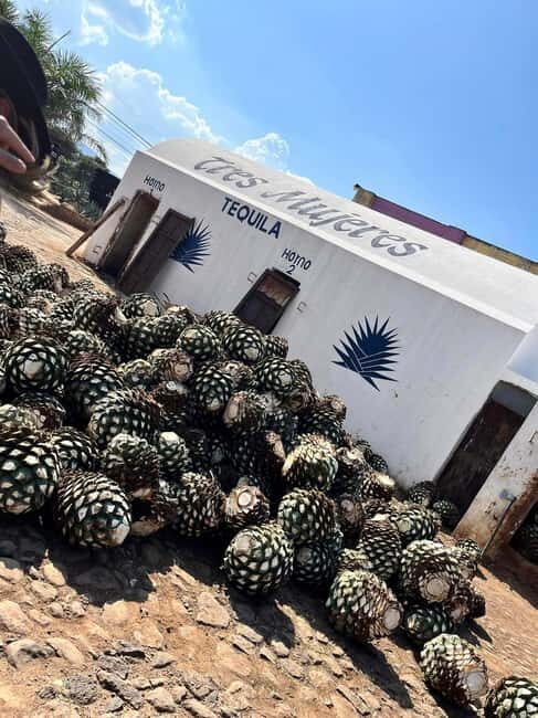 Destino Tequila: Experiencia Premier Privada - Practical Details and What It Means for You