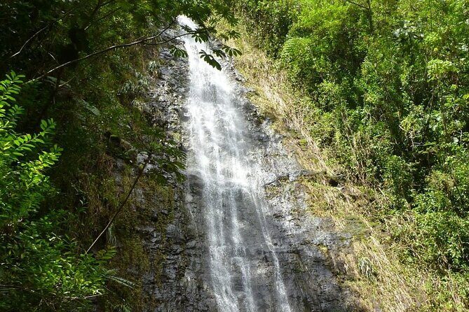 Diamond Head and Manoa Falls Hike and Adventure Tour - What Travelers Say: Authentic Experiences and Practical Details