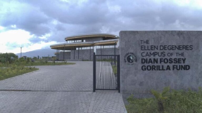Dian Fossey Museum - The Journey and What to Expect