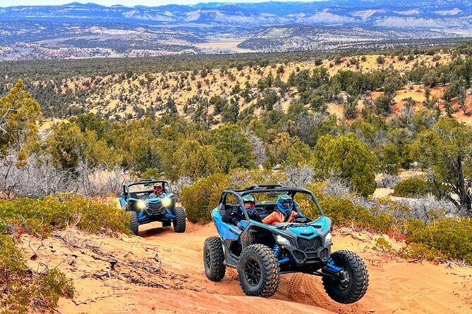 Diana's Throne UTV Adventure Near Zion National Park - Who is this tour best suited for?