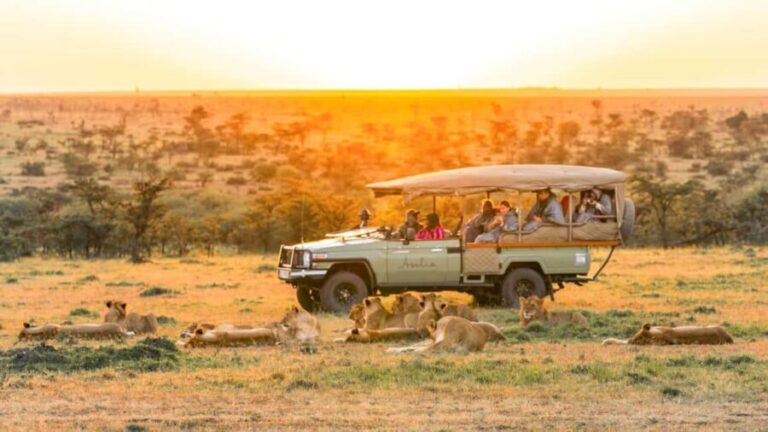 Diani Beach: 3-Day Tsavo East and West National Parks Safari - The Logistics: What You Need to Know