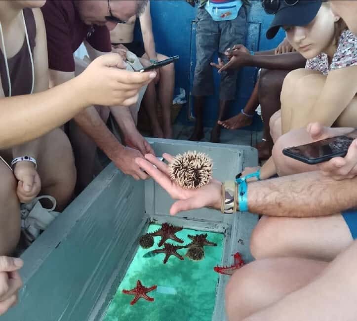 Diani Beach: Glass Boat Cruise to Robinson Island - Why This Tour Works Well