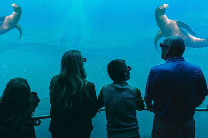 Digital Ocean Adventure in Sevierville - Additional Practical Tips