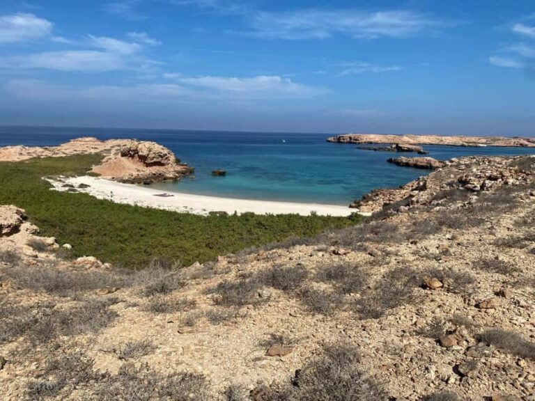 Dimaniyat Island: 5-Hour Snorkeling Adventure - Practical Details: Cost, Booking, and What’s Included