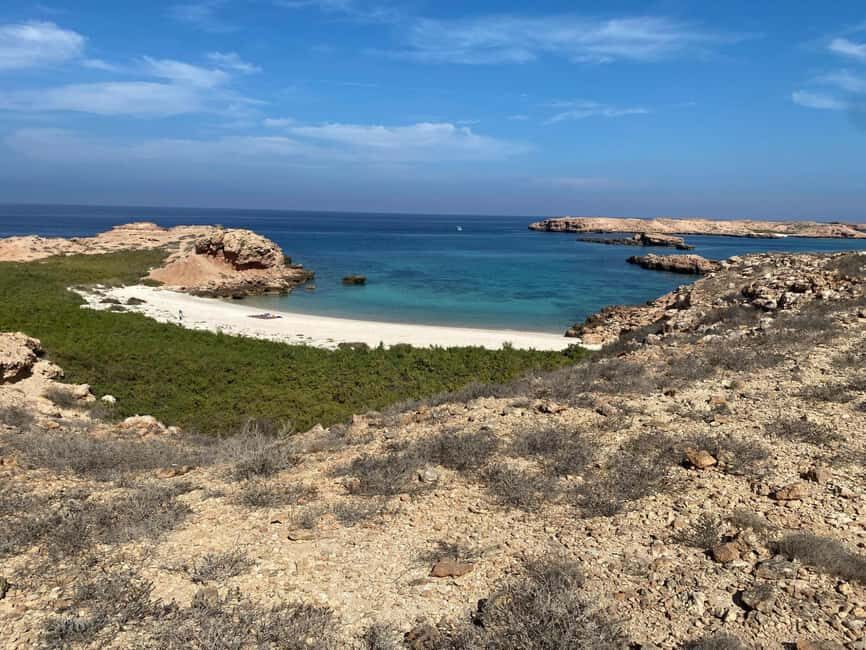 Dimaniyat Island: 5-Hour Snorkeling Adventure - Practical Details: Cost, Booking, and What’s Included