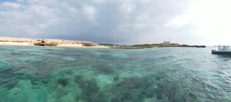Dimaniyat Islands Snorkeling Tour afternoon - Who Will Love This Experience