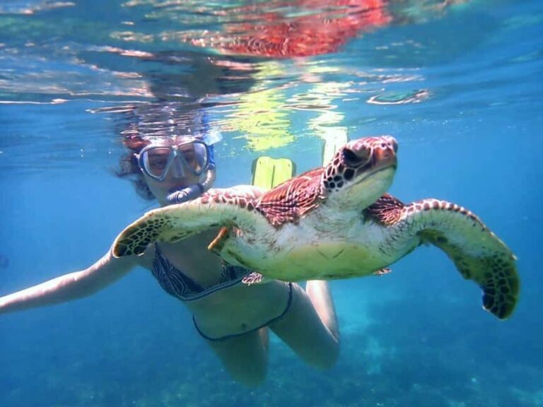Dimaniyat Islands Snorkeling Trip - Who Should Consider This Tour?