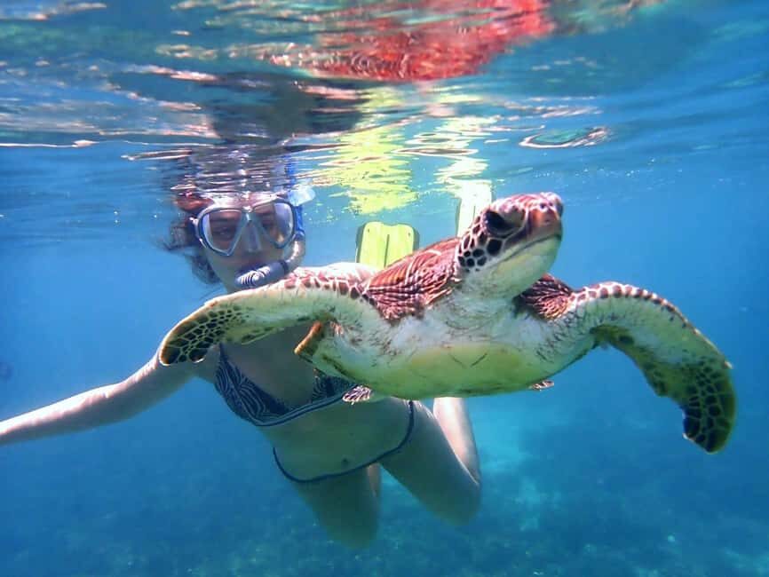 Dimaniyat Islands Snorkeling Trip - Who Should Consider This Tour?