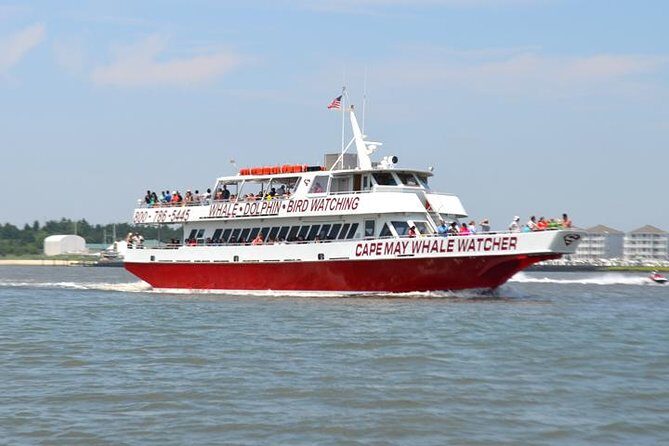 Dinner Cruise with Dolphin Watching from Cape May - Who Should Consider This Experience?