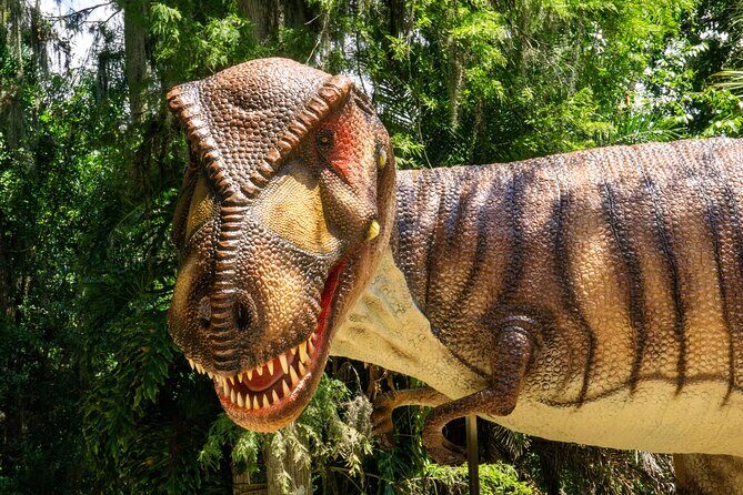 Dinosaur World Theme Park - Practical Details and Tips for Visitors