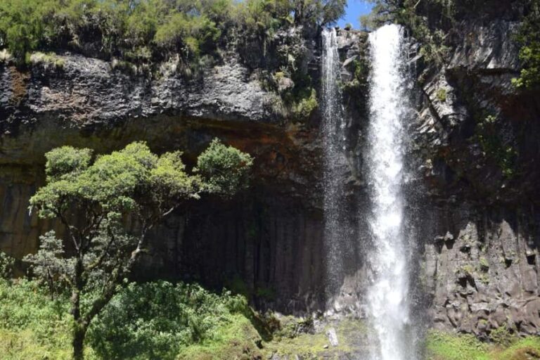 Discover Aberdare National Park and Lake Naivasha (2 days) - Wildlife on a Game Drive