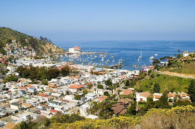 Discover Avalon: Catalina Scenic Tour - Why You’ll Love the Experience