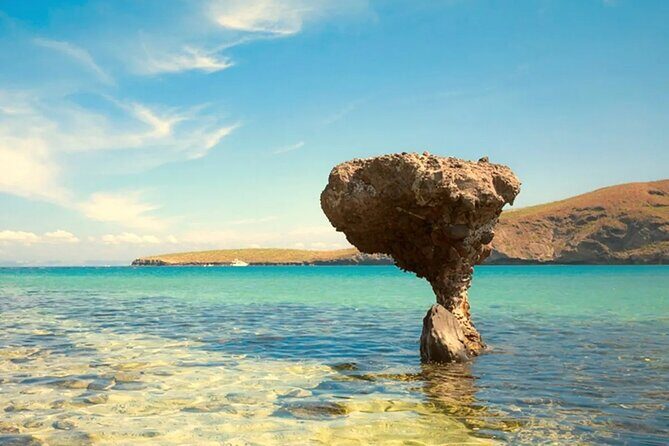 Discover Baja's Heart by Exploring La Paz Beaches and Culture - Transportation and Comfort