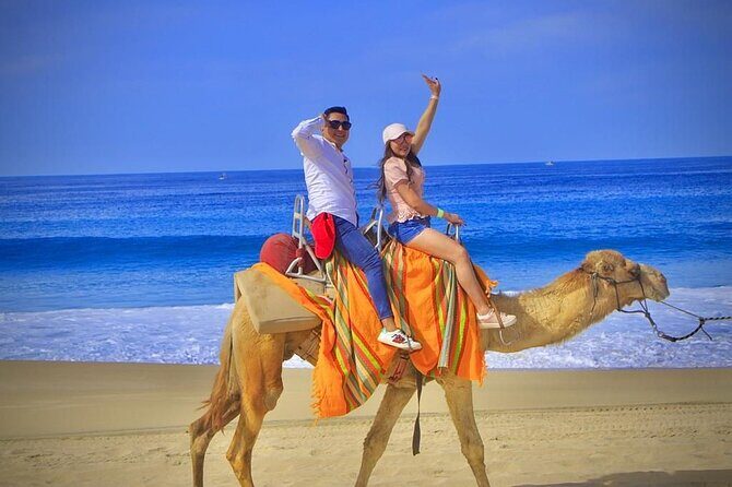 Discover Cabo San Lucas by camel ride - Practical Details and Considerations