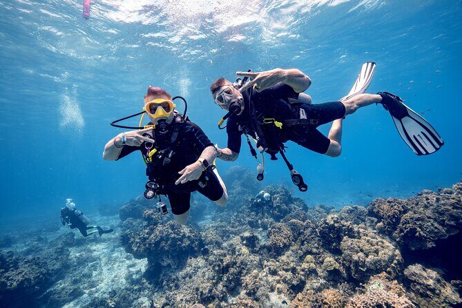 Discover Diving in the Reefs of Cozumel - What to Expect at Each Stage