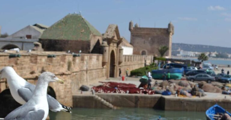 Discover Essaouira: A Day Tour from Marrakech - Exploring Essaouiras Historic Charm