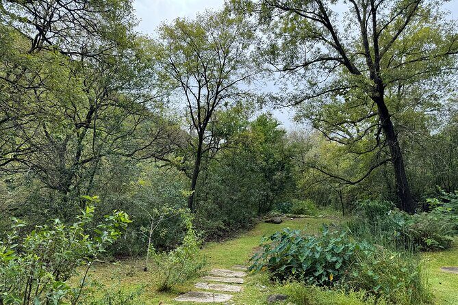 Discover Estanzuela Natural Park - Who Should Consider This Tour?