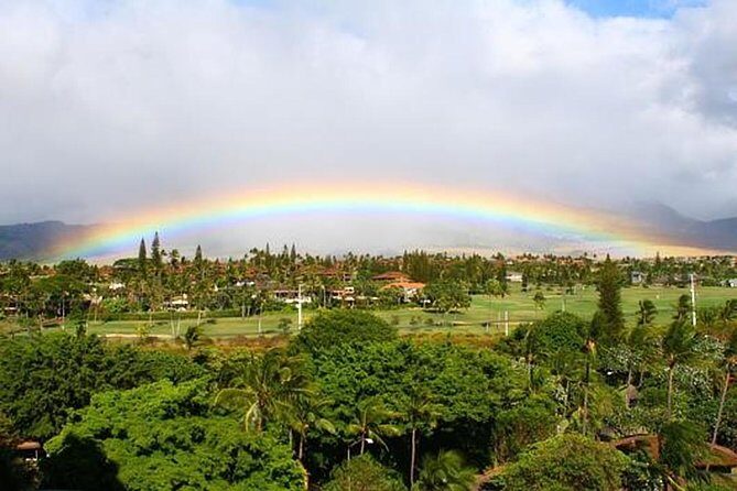 Discover Lahaina: Self-Guided Audio Tour - Who Will Love This Tour?