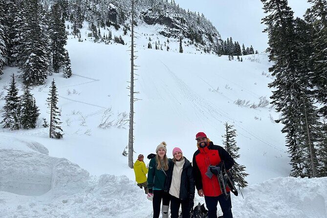 Discover Mt. Rainier Private Full-Day Tour - Insights from Reviews: What Travelers Love