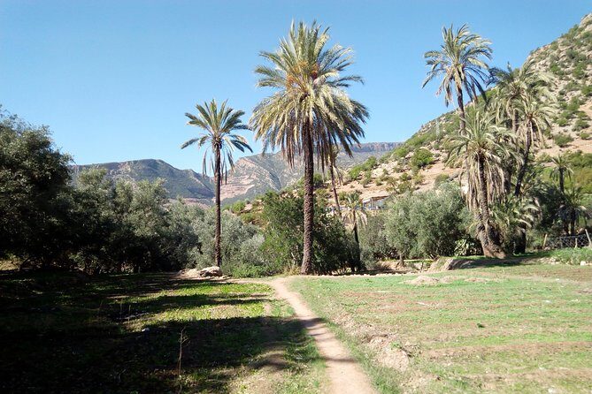 Discover Paradise Valley by Biking&Hiking - What Travelers Say