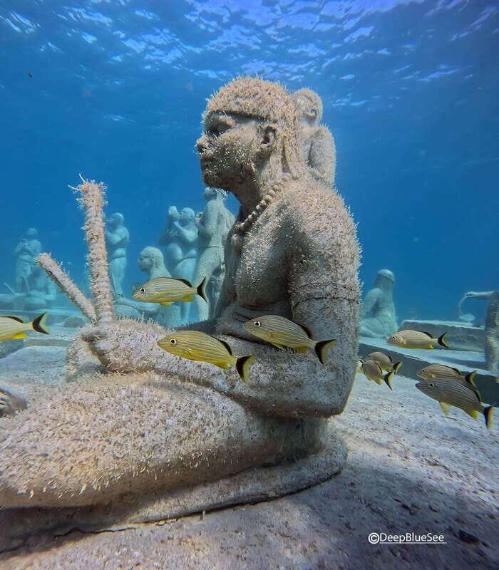 Discover Scuba at the Underwater Sculpture Park - Why This Tour Offers Good Value