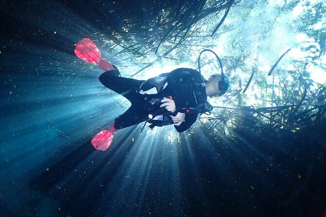 Discover Scuba Diving at Casa Cenote No Certification Needed - The Real Value for Travelers
