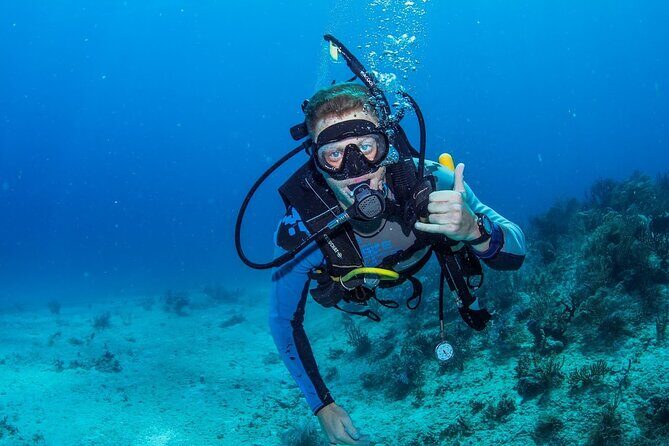 Discover Scuba Diving at Cozumel Marine Park - What to Expect During the Tour