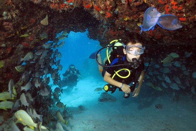 Discover Scuba Diving Course in Playa del Carmen with Two Coral Reef Dives - The Sum Up