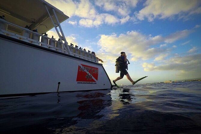 DISCOVER Scuba Diving Experience in Honolulu - How the Itinerary Unfolds