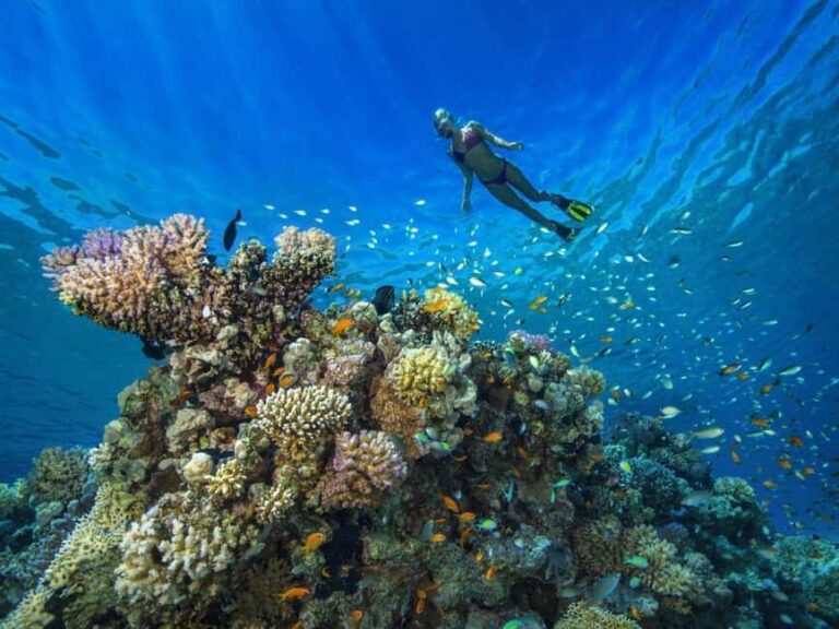 Discover Scuba Diving in Dubai - Authentic Feedback from Participants