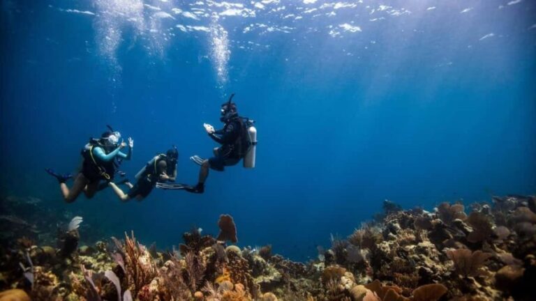 DISCOVER SCUBA DIVING IN LEMORNE with EasydiveMauritius - Pricing and Value