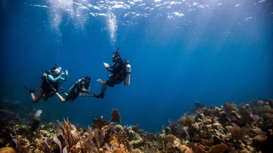 DISCOVER SCUBA DIVING IN LEMORNE with EasydiveMauritius