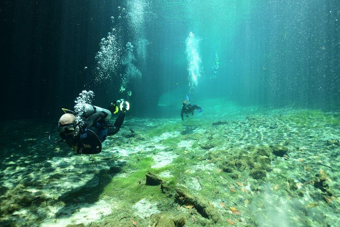 Discover Scuba Diving in Tulum - Final Thoughts: Is It Worth It?