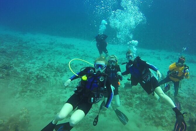 Discover Scuba Diving in Waikiki - Analyzing the Value