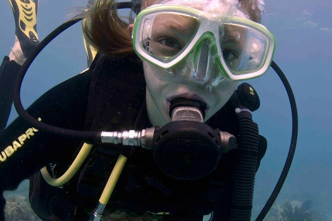 Discover Scuba Diving - One Tank at Coral Reef - What Past Participants Say