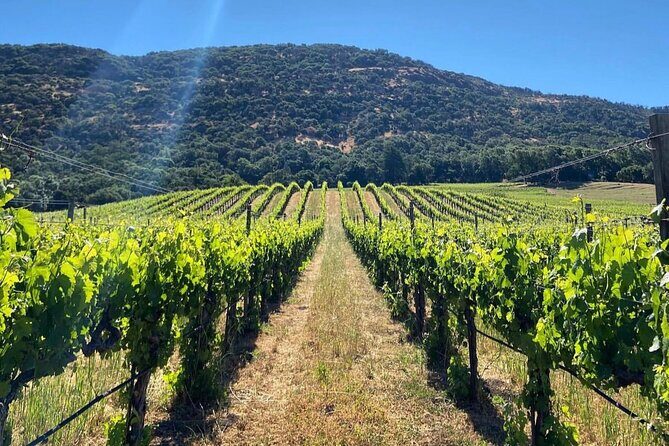 Discover Sonoma's Natural Wineries in Small-Group Tour - Why This Tour Stands Out