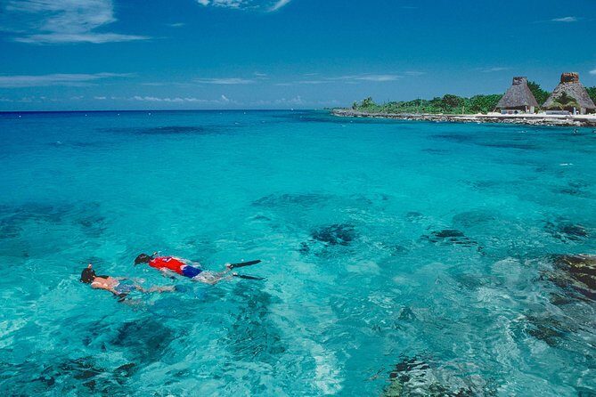 Discover starfish, swim and snorkel at El Cielo Cozumel Reef - What Makes This Tour Stand Out