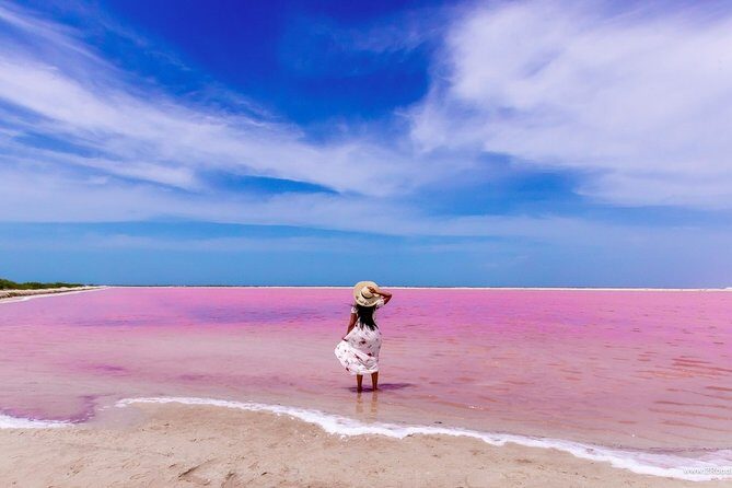 Discover the FABULOUS PINK WATERS in the Caribean - Transportation and Group Dynamics