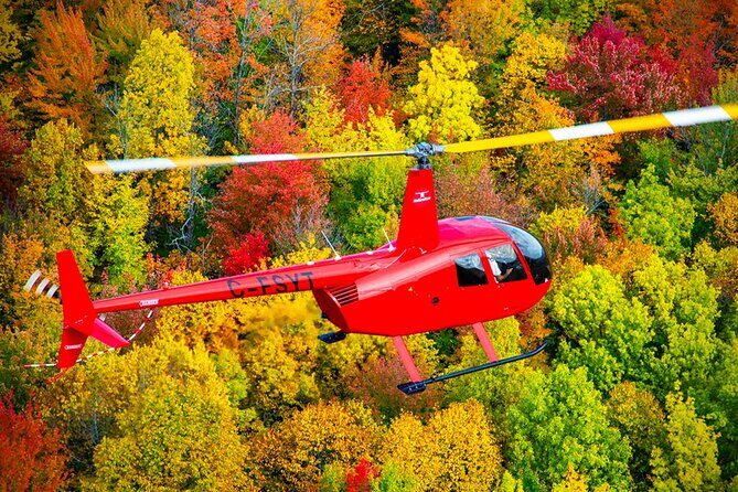 Discover the Monteregie Landscape Helicopter Tour - Who Will Love This Tour?