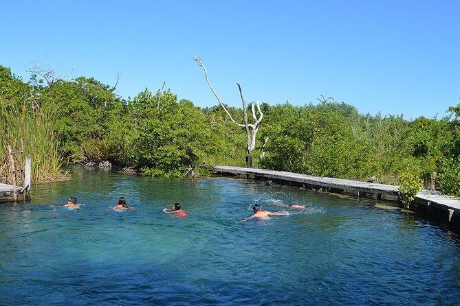Discover the Wonders of Holbox, Cenote and Passion Island. Transport included - Final Thoughts