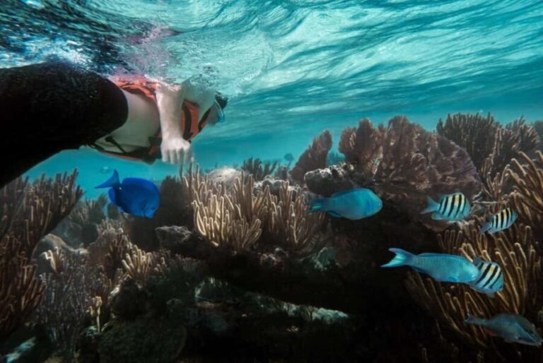Discover Tumbatu Island: Private Snorkeling Adventure - Authentic Experiences and Practical Tips